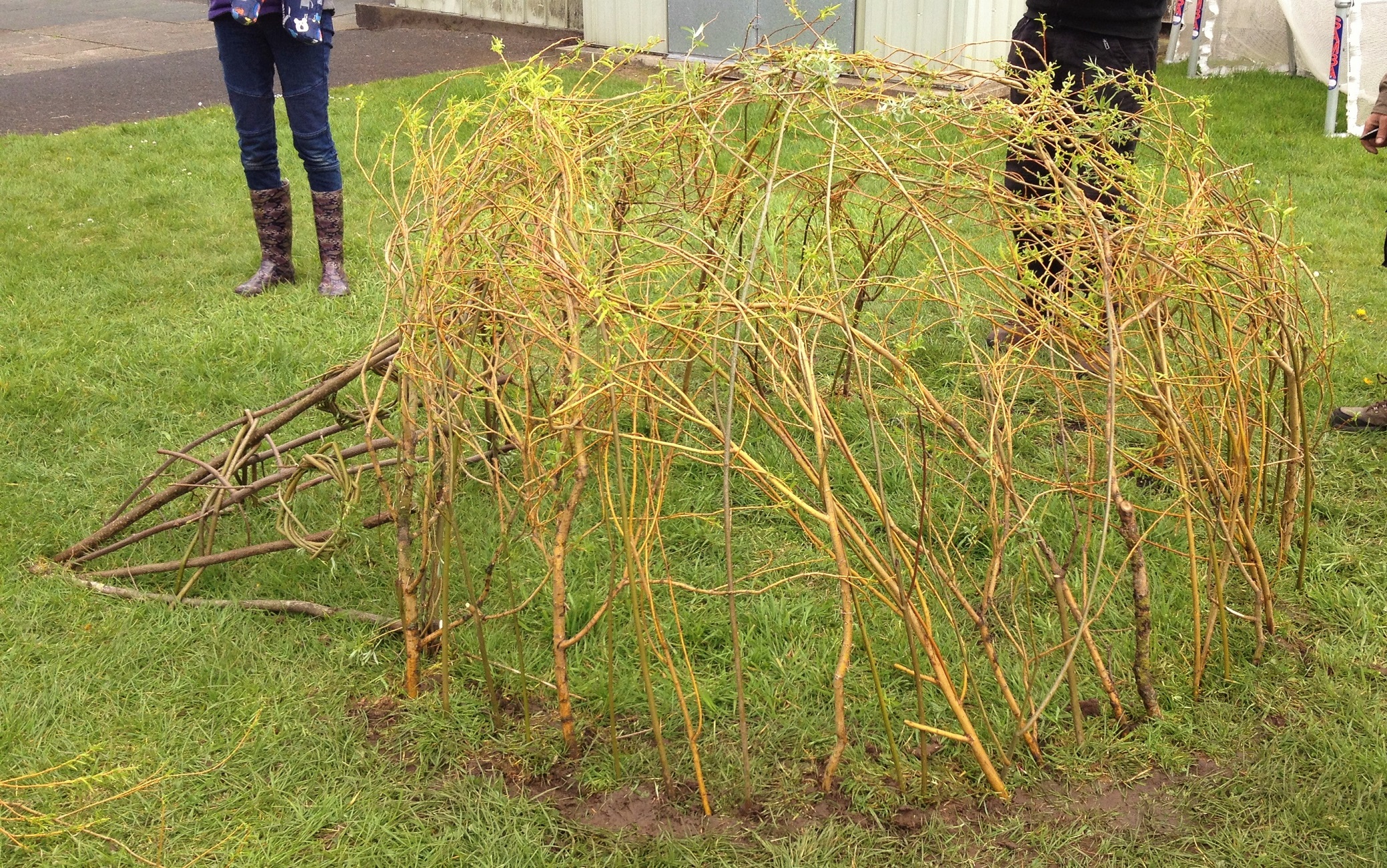 willow hedgehog sculpture