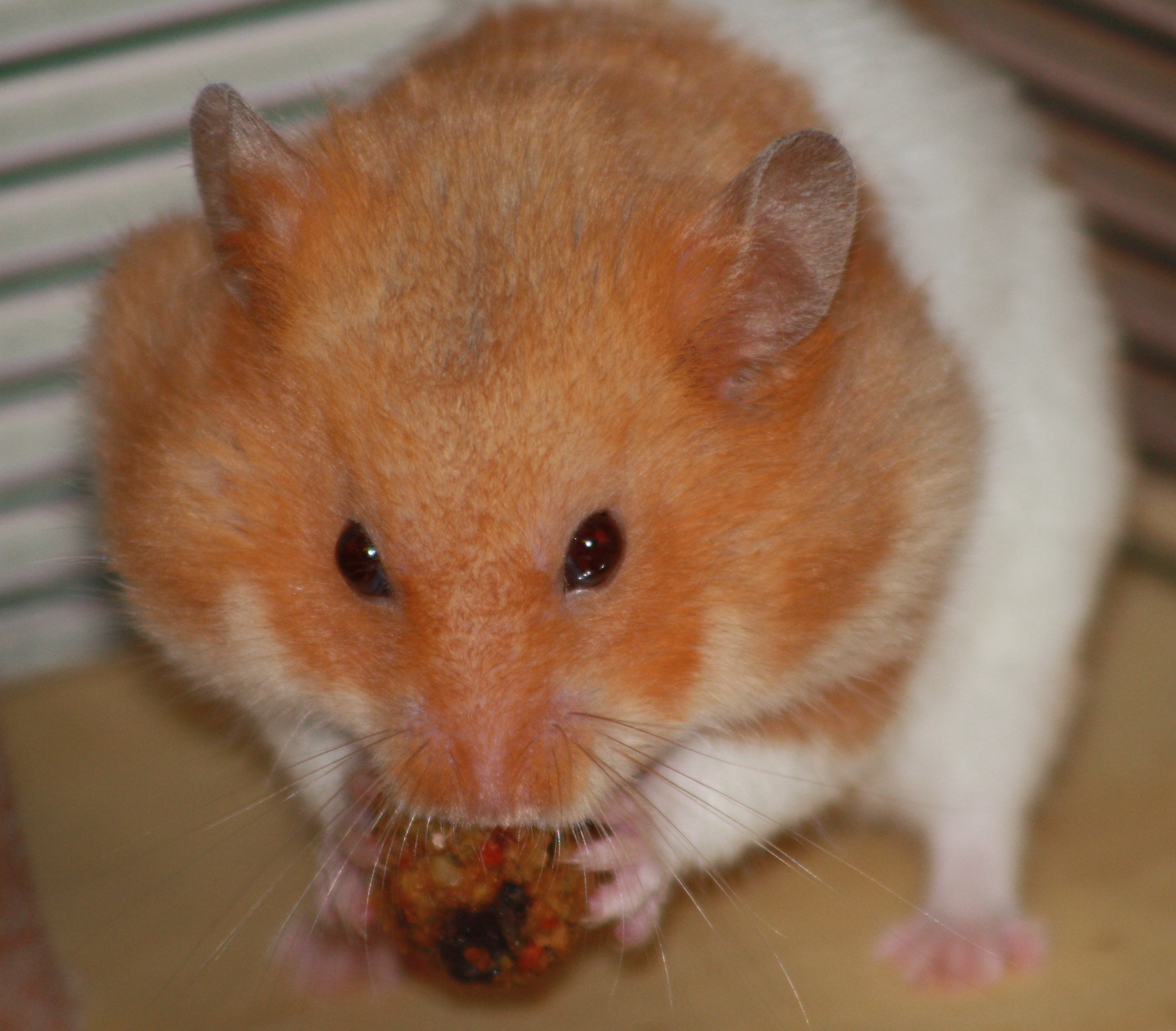 Milku