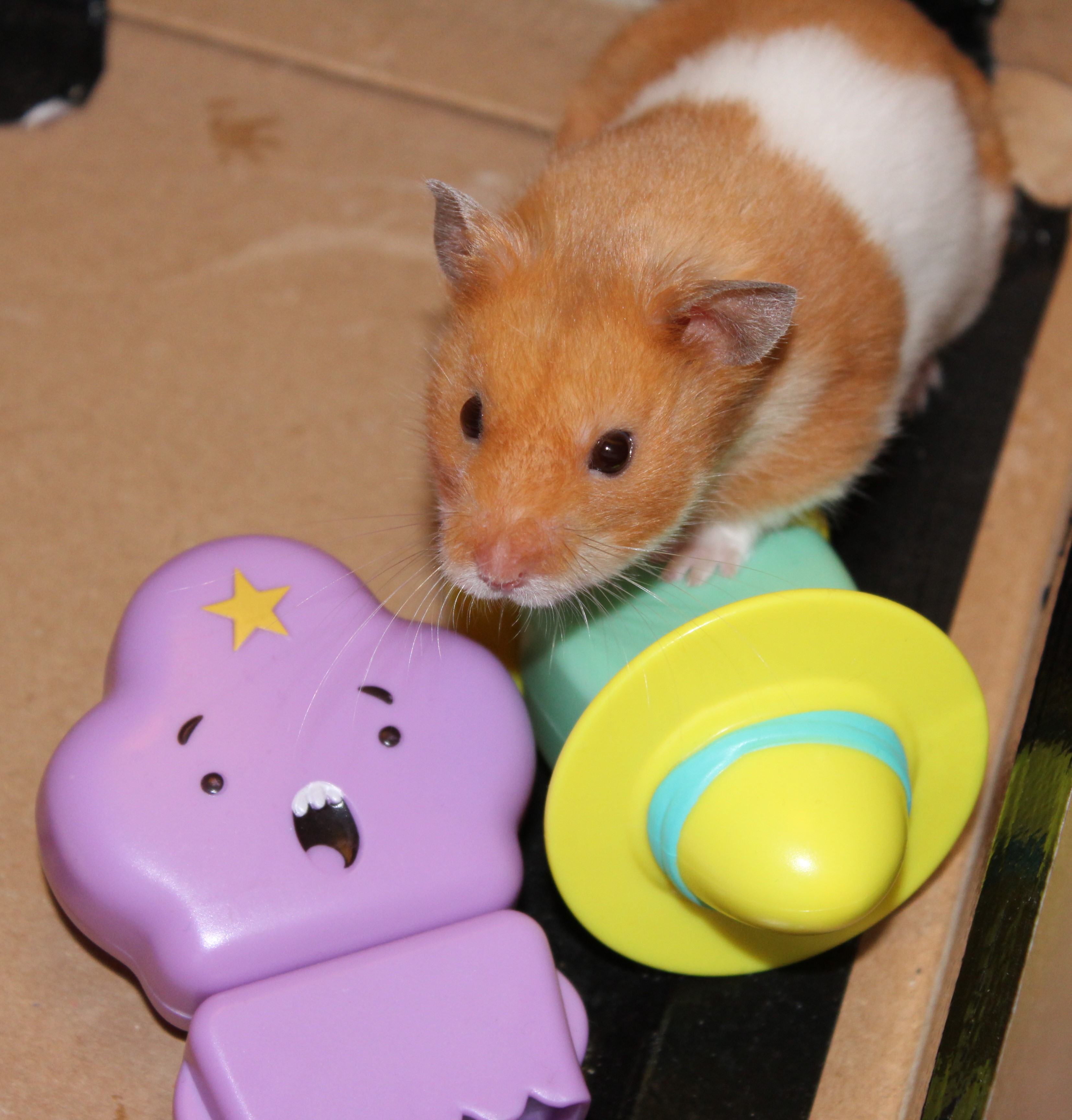 Milku with Adventure Time characters
